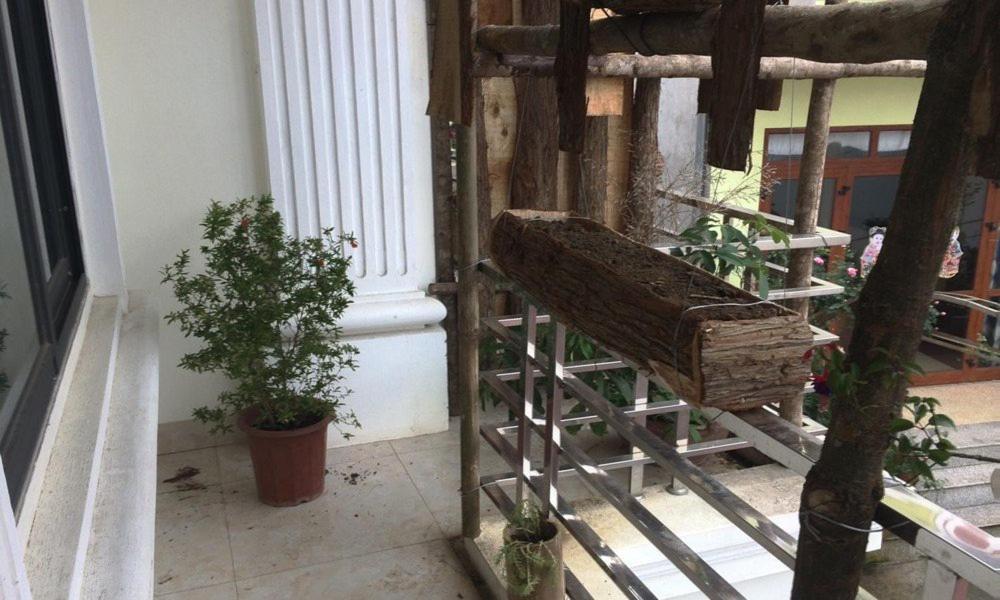 Sapa Peace Valley Hotel エクステリア 写真